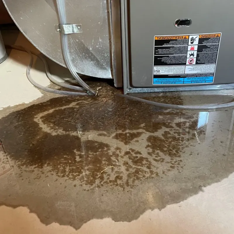 Pipe Burst and Leak Restoration in East Berlin, PA
